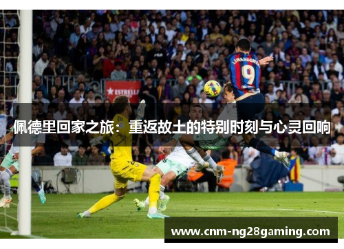 佩德里回家之旅：重返故土的特别时刻与心灵回响