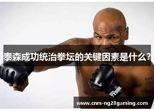 泰森成功统治拳坛的关键因素是什么？