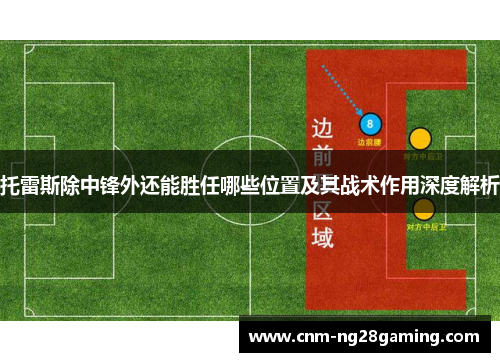 托雷斯除中锋外还能胜任哪些位置及其战术作用深度解析