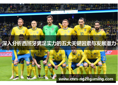 深入分析西班牙男足实力的五大关键因素与发展潜力