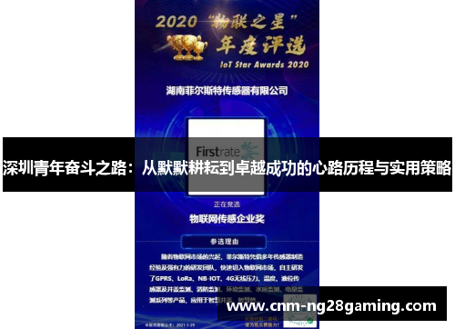 深圳青年奋斗之路：从默默耕耘到卓越成功的心路历程与实用策略