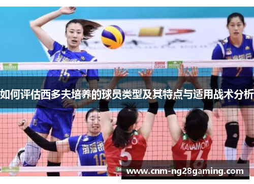 如何评估西多夫培养的球员类型及其特点与适用战术分析