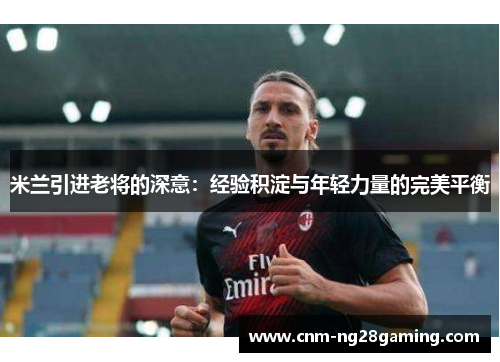 米兰引进老将的深意：经验积淀与年轻力量的完美平衡