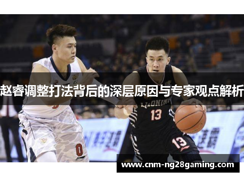 赵睿调整打法背后的深层原因与专家观点解析