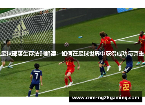 足球部落生存法则解读：如何在足球世界中获得成功与尊重
