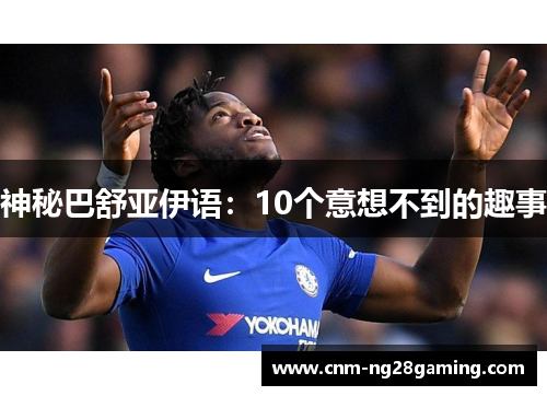 神秘巴舒亚伊语：10个意想不到的趣事