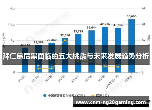拜仁慕尼黑面临的五大挑战与未来发展趋势分析