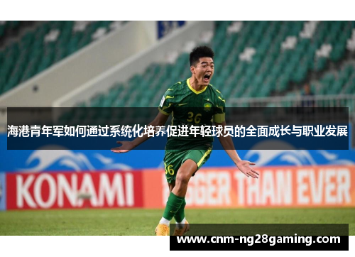 海港青年军如何通过系统化培养促进年轻球员的全面成长与职业发展